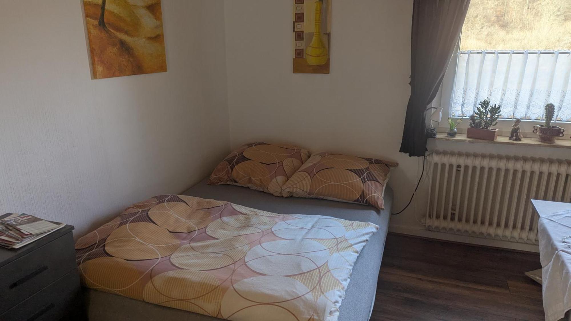 Ferienwohnung Mit Terrasse Fuer 1-4 Personen Altena Zewnętrze zdjęcie